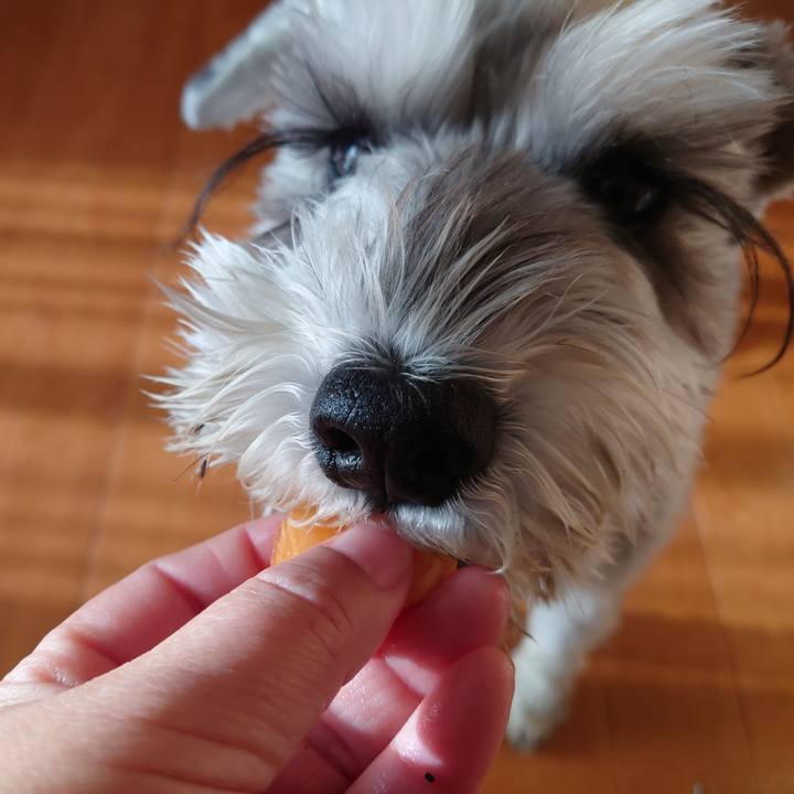 28d17c38 4a96 4df3 954e b28a53ac8a65 1764025485625