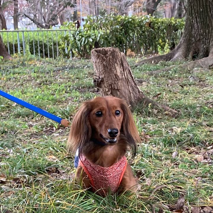 28d18a07 e8ca 4166 8d23 4945b87b19a9 1765625532217