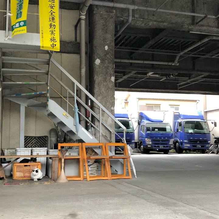 28d1a1f5 30b7 49b0 9da9 befbe9373651 1523206173466