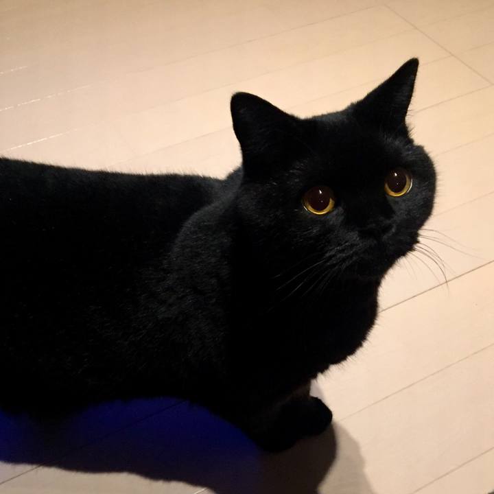 28d1cdc7 eb03 416c a984 0dced87fb230 1567167491430