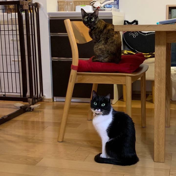 28d1d401 3764 4804 8f79 e41ea96c7f34 1547295680966