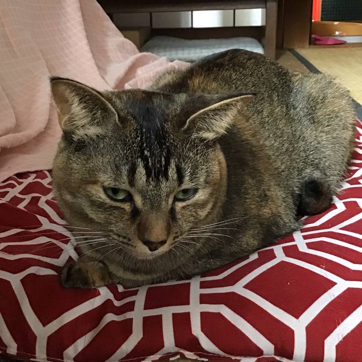 28d1da2b 8e2b 4203 8654 3df5f85c999d 1635656793986