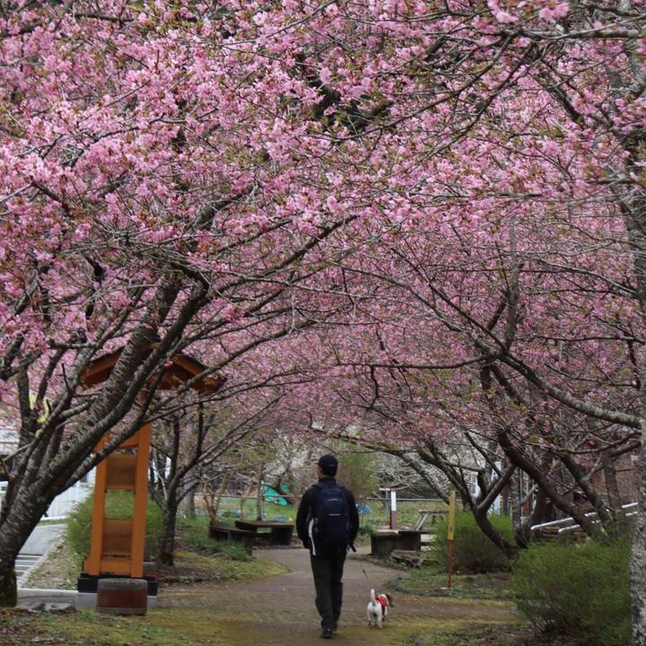 28d1f3a7 3e7d 434d a5a7 9949d6618d2b 1521269863228