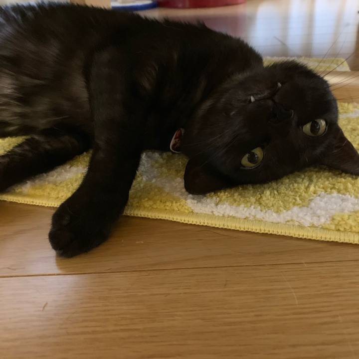 28d23956 bdb9 46c7 a47f 69181646b4c7 1547044069309