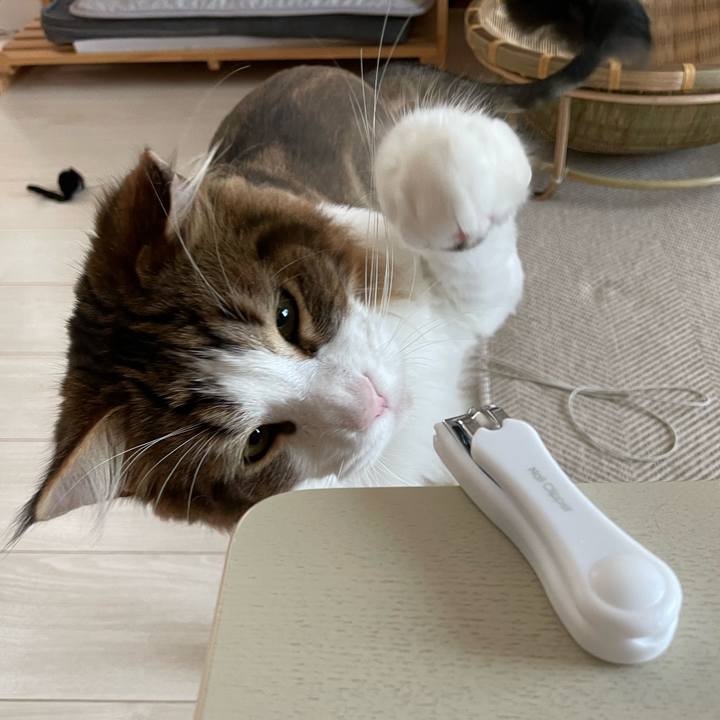 28d24046 dd1a 4952 a221 9cb6fcfd4f31 1659905941463