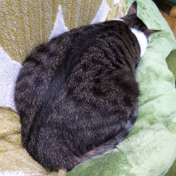 28d27e4b 7521 4607 a382 4eff5e39d470 1647001331249