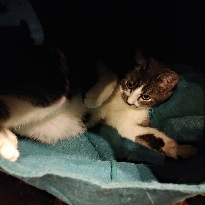 28d287a7 a977 448e 819f 6d4aa1f660dc 1575385662953