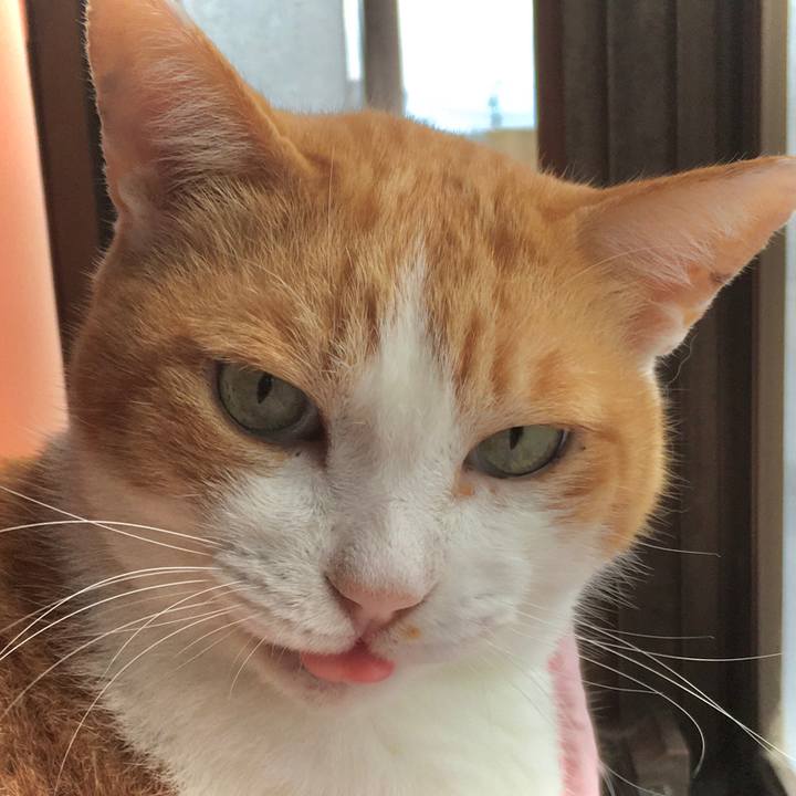 28d29d75 e7bc 42a7 92fd 200055f175e6 1570793687059