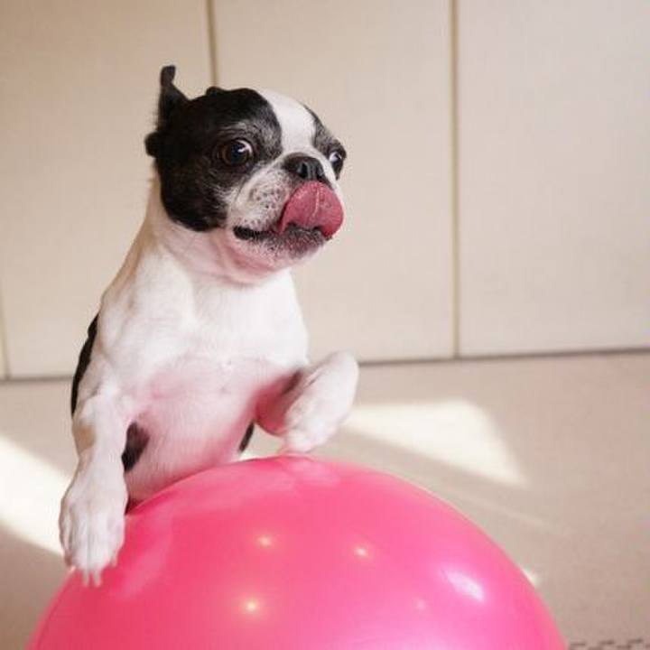 28d2ad5e 4694 4144 b525 a3c86db167e8 1549944598686