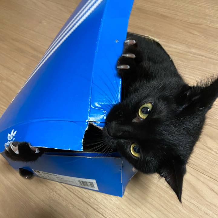 28d2b9e0 6dd9 4adf 987c 8647ea5ffe5c 1623754972100