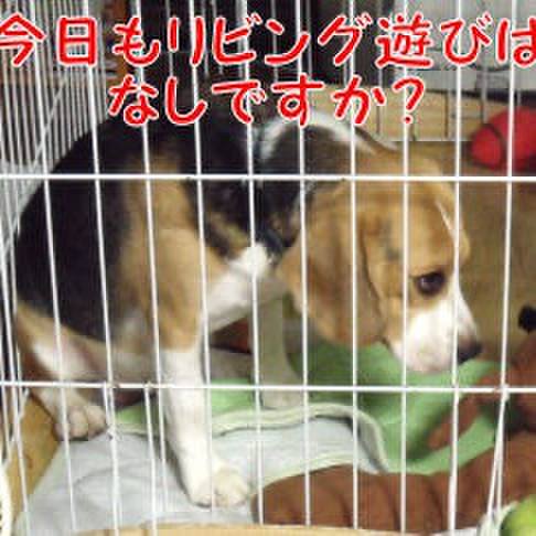 28d2bb15 1c52 4a0a 9de6 fa69fd272e07 1724544217239