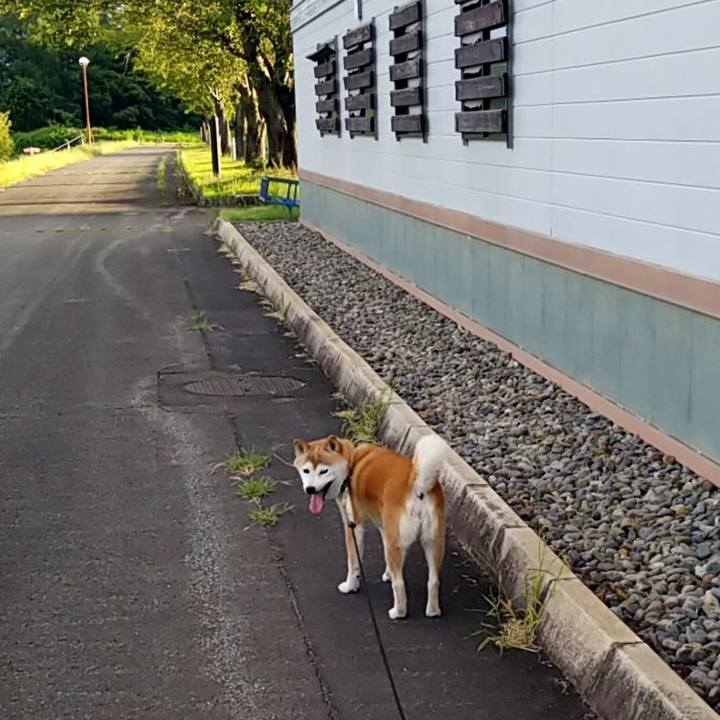 28d2c4c2 1bbb 43e0 ac85 3dfd16acb26d 1660294623970