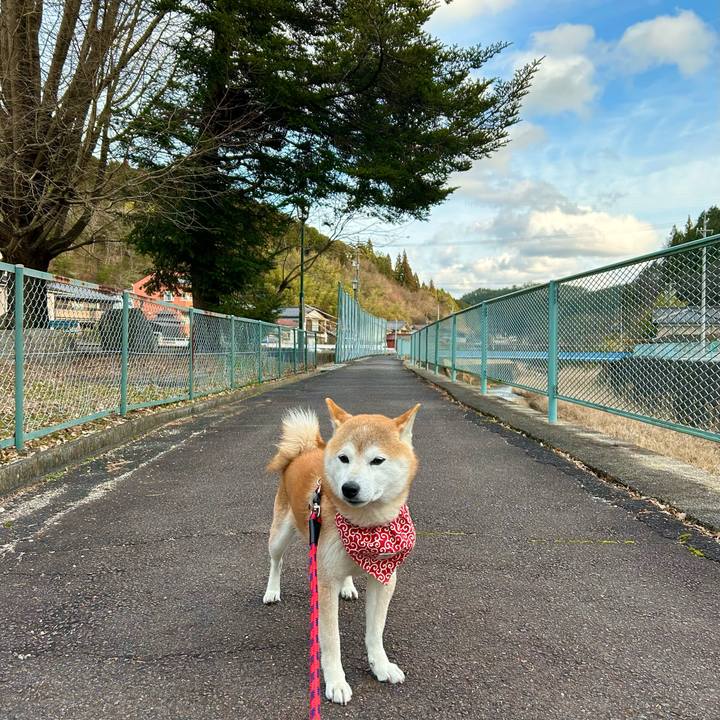 28d2c7ef ac93 4f14 ba26 18cb3ae48731 1709803482893