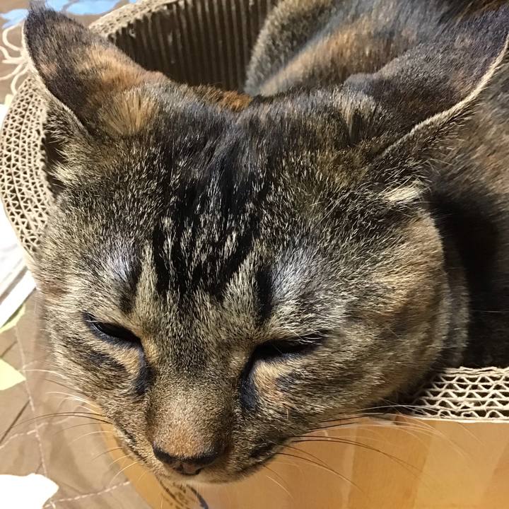 28d2d602 76b5 49a1 ac87 5ae036d86e8e 1762333850644