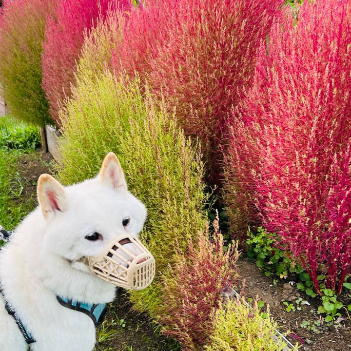 28d2e4dd eff3 47d5 ad39 e962ba5ab933 1727905589691