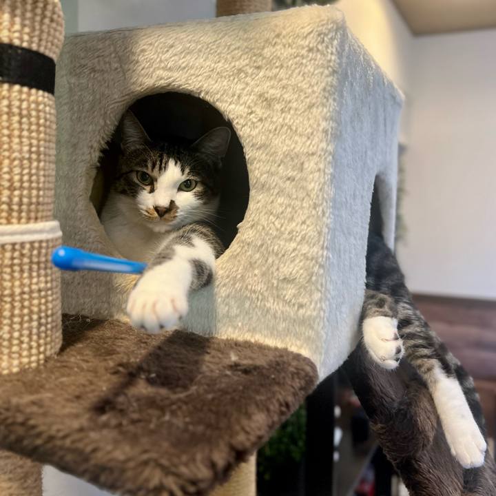 28d31509 8871 4e10 9086 bc60f78cbc67 1758453817057