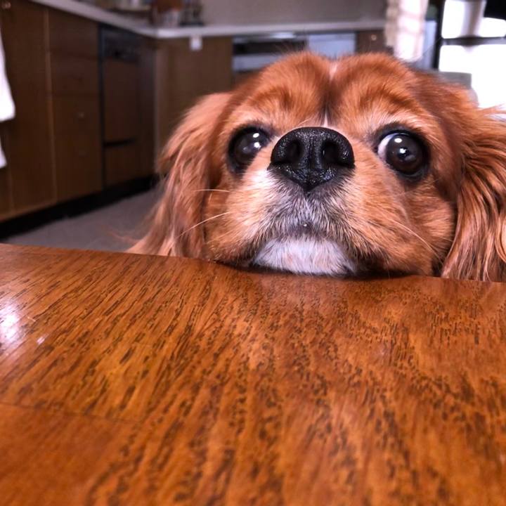 28d31928 d098 452a be44 4e7b3827f202 1621981603883