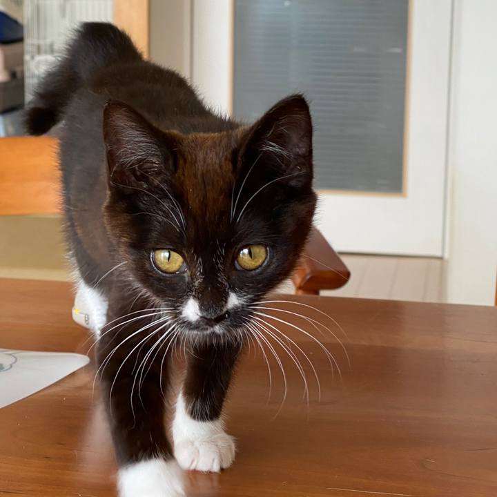 28d31f6f bf04 4519 b65d 95d53f9a1f84 1579435025072