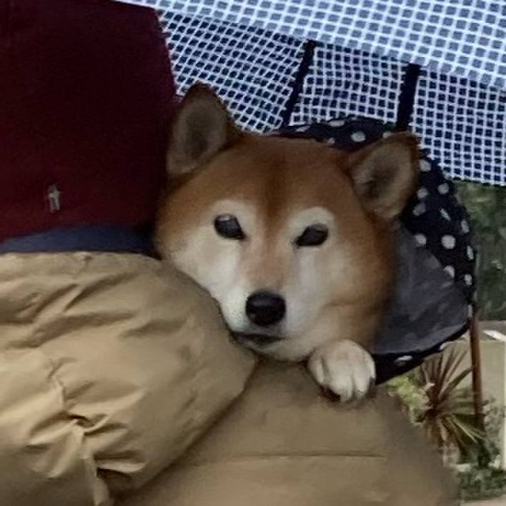 28d34ea2 dc0c 4fdf 9fd0 04bd90ca5bdc 1676253194180