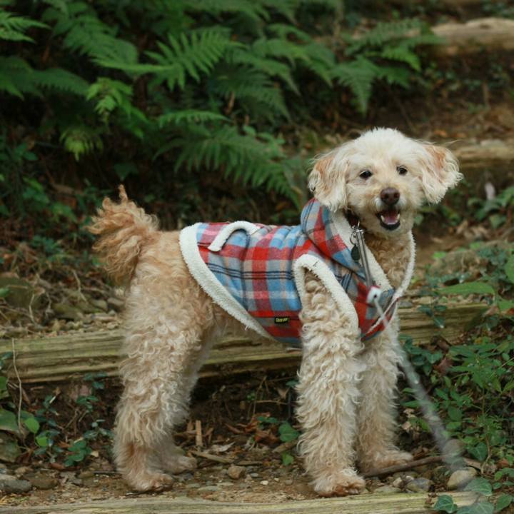 28d35c48 0084 4c6c a185 e25f5123311b 1604238959922