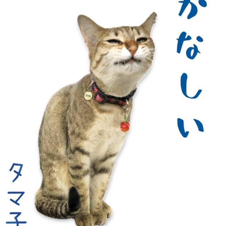 28d37c81 f3de 4d6d 8d09 41c195df4a9a 1728538169519