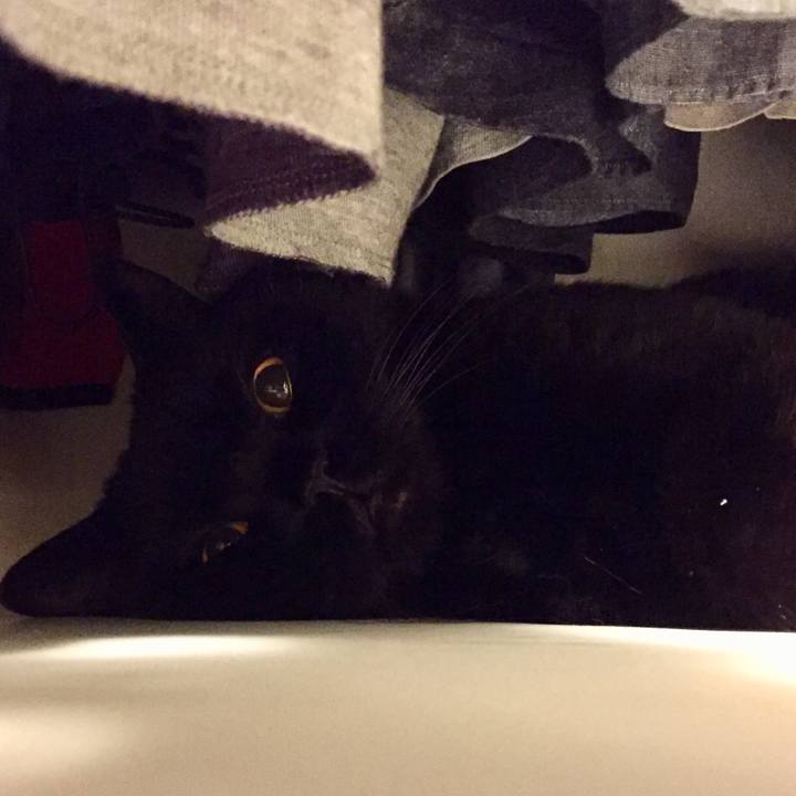 28d3e493 c891 43f8 937f 67f770a43a10 1594645187343