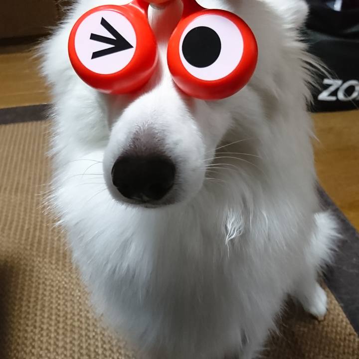 28d3fbb4 55ff 4517 b4ba 224c3e1b3b51 1581780600632