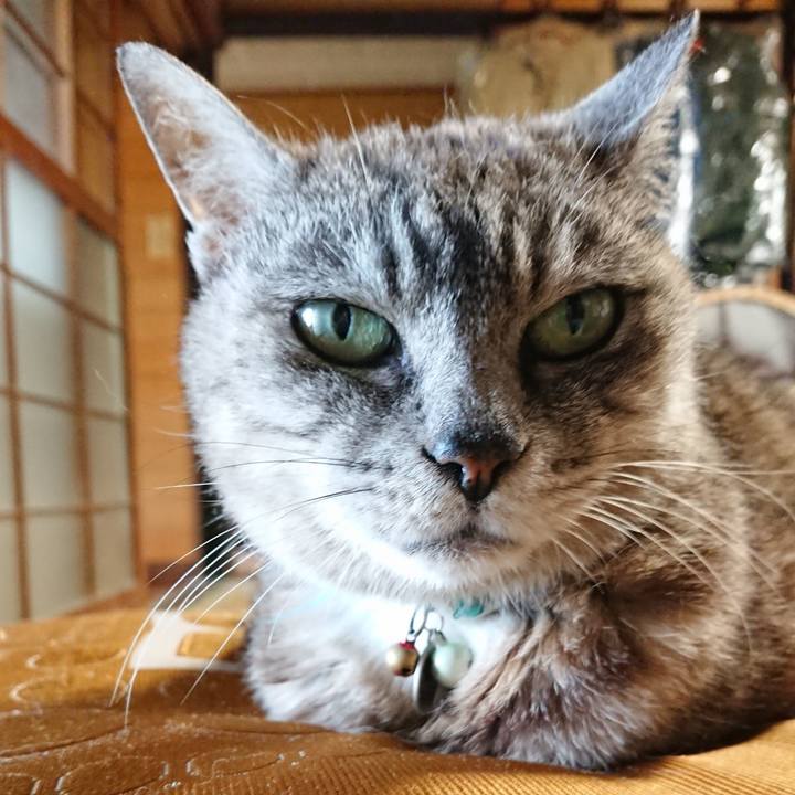 28d40805 e3f3 4d60 b0c7 9df00eada5df 1567238169735