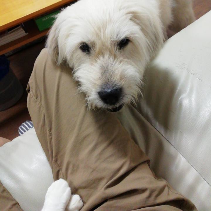 28d40ff6 e0a3 4a79 85da c2cf8322abf4 1606045841164