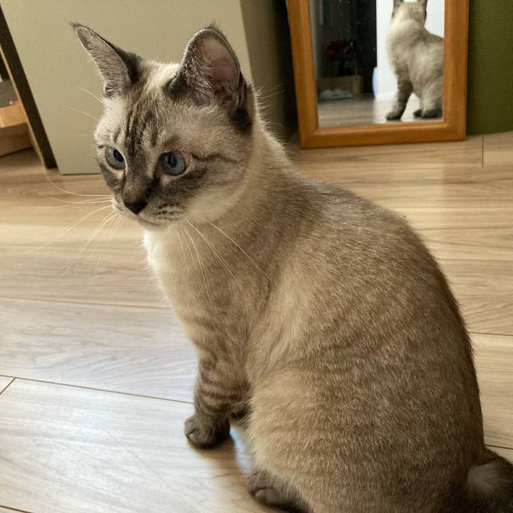 28d420fc 8181 42e2 b453 cf0bcfd8e109 1724128081968