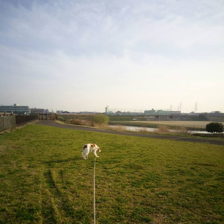 28d463aa 7ec5 4d05 8f1b 968f947b9581 1520854225753