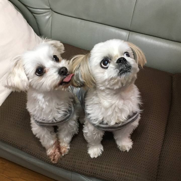 28d47cbd 6272 4cbc b9b7 55056ef1b1ac 1608376883155