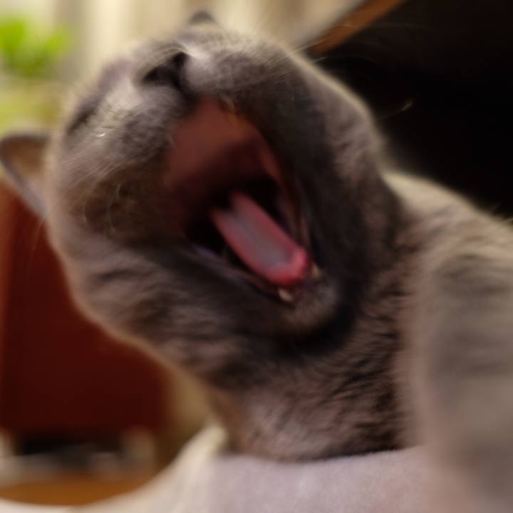 28d49386 3ce8 4113 873a 8f95894a281a 1574766820737