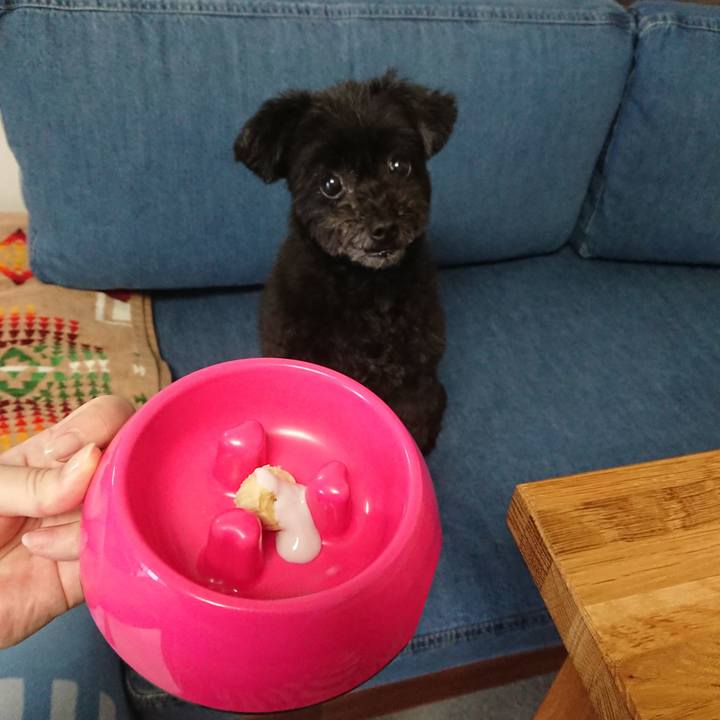 28d497c2 b06b 4079 a283 020b9f1d4291 1561763629771