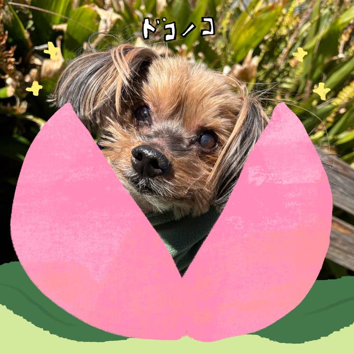 28d4b200 cea6 4511 8bd8 4243305a361f 1771839011489