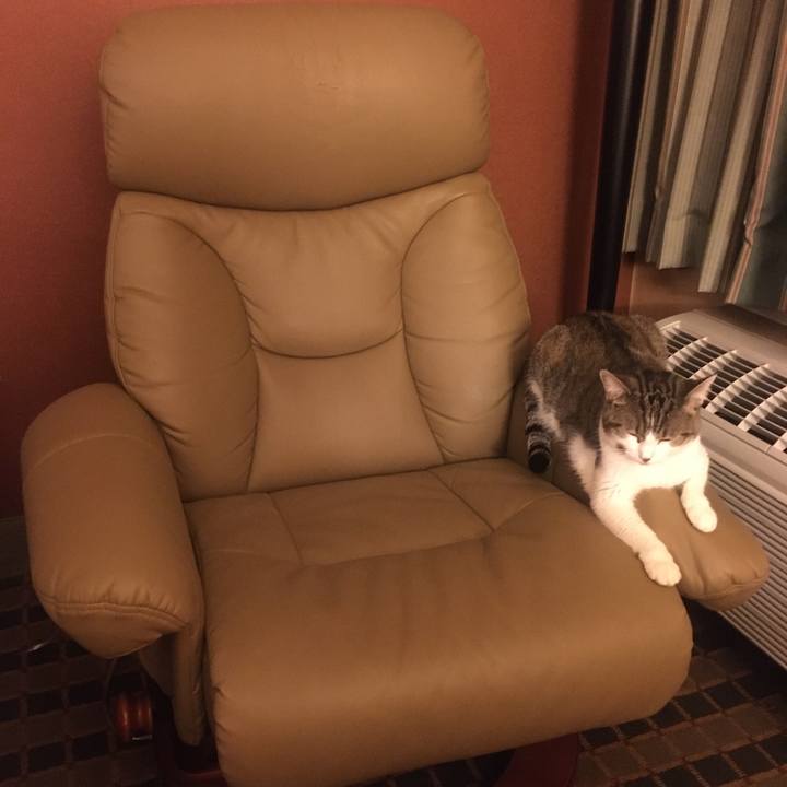 28d50d6c 342e 411d 979c b40df6fe6115 1633830241648