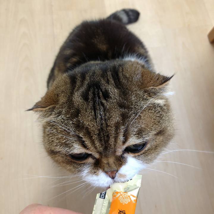 28d535bd b0ac 4c69 8ea7 2d4234be2515 1549512898779