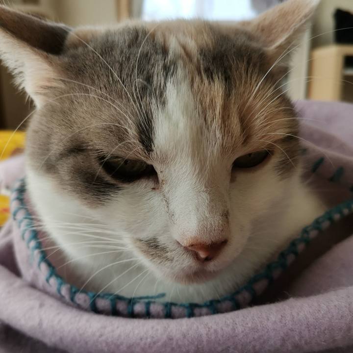 28d54e4e 192f 46dc acfc f07f4e0a742e 1674358020631