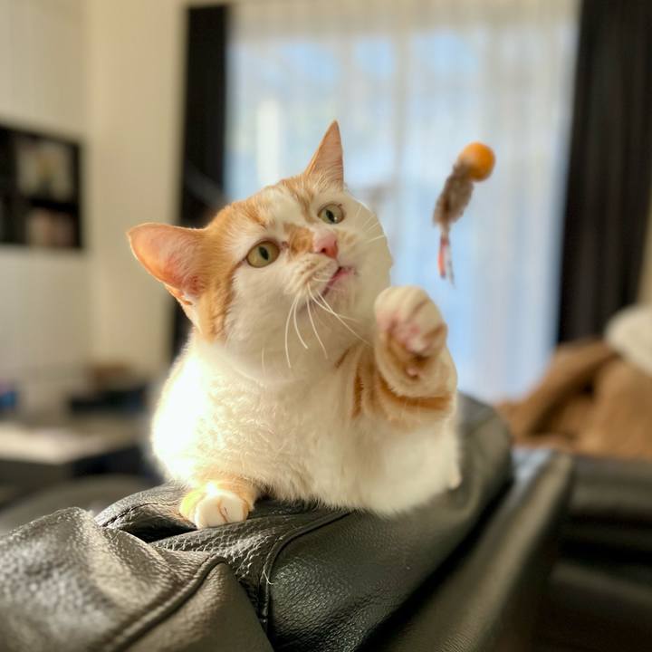 28d58151 36b6 4bc3 9406 ad0dfe6f7a54 1772940078363