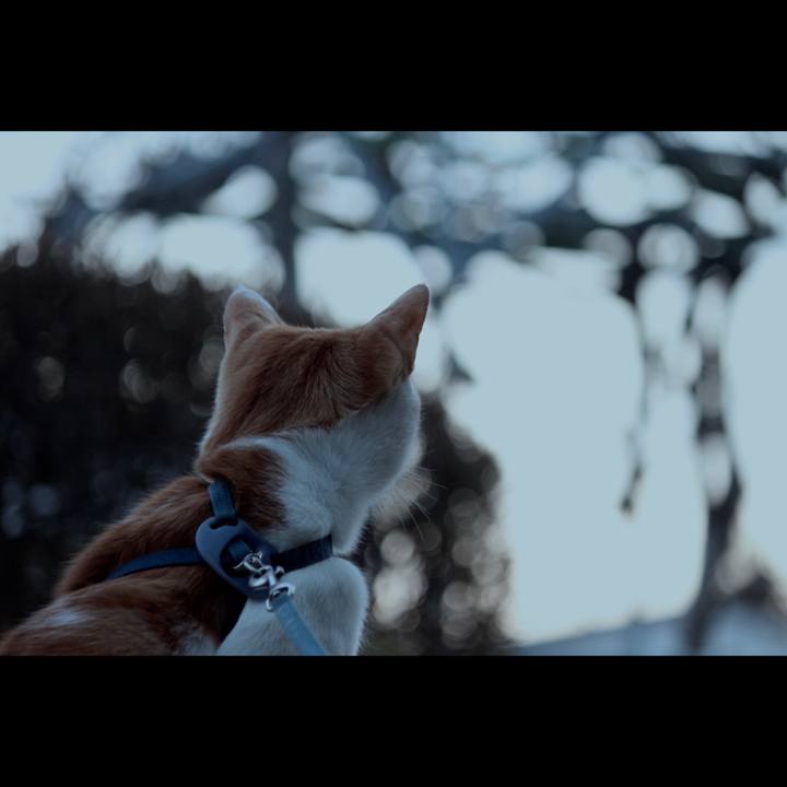 28d5c291 52e9 4b0d 82bb 8d7506dbb8a7 1517402766039