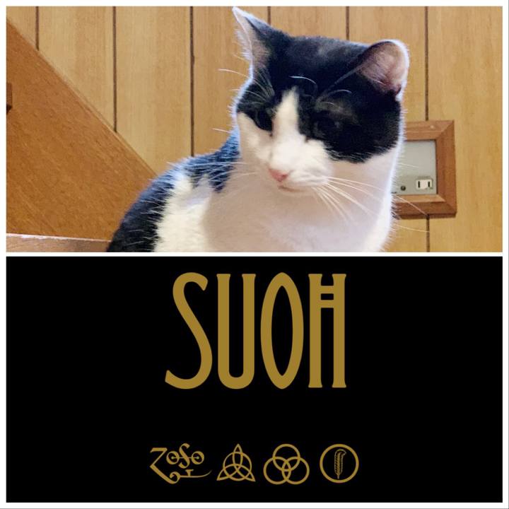 28d5ce78 2703 424b b496 384407eda27c 1550974149535