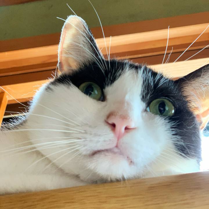 28d5fb30 af90 4c04 9a4d 612d6ae5558d 1595901015800