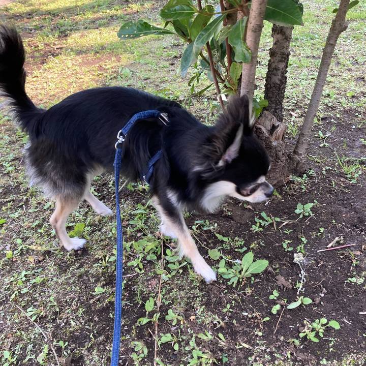 28d6288d a779 4cec 88c3 c21d9fe1a8d0 1622358613032