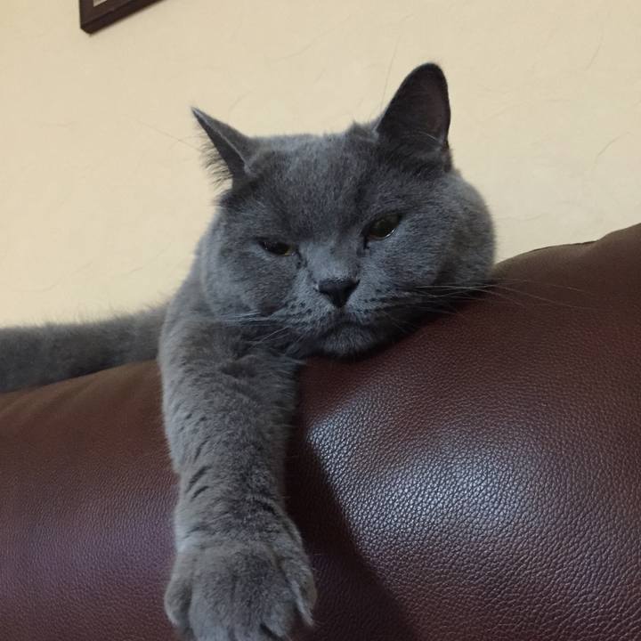 28d6997c 321c 4156 b1af e8f67e06e654 1773479748406