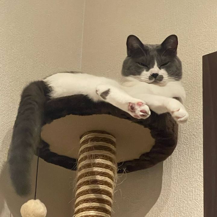 28d6c272 77d1 4db9 934c 43702a2a79d9 1697466207084