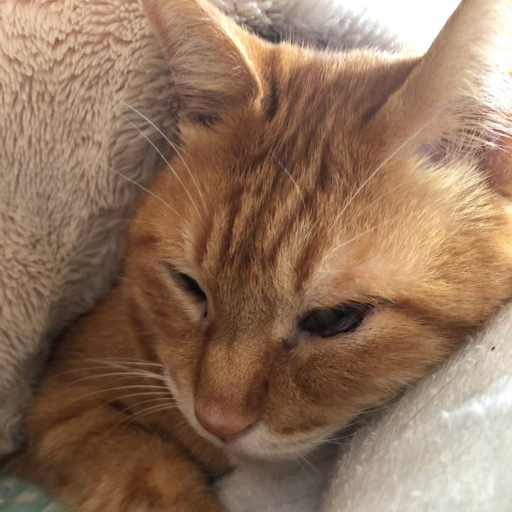 28d6ea89 a5e9 4d16 a582 cdbf2b9737ea 1729897279209