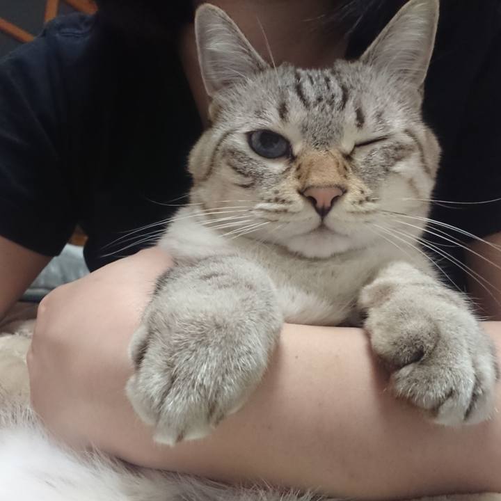 28d70c50 c67e 4007 9106 e1ee1f9fb60c 1572357896680