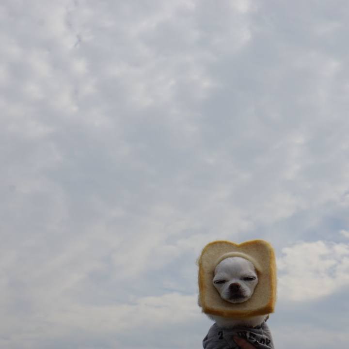 28d70d07 d55a 49a8 b396 822acd49b184 1541198351391