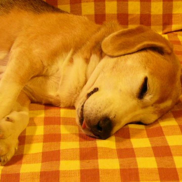 28d71a46 e3e0 4423 8325 d809674b4837 1670549797263