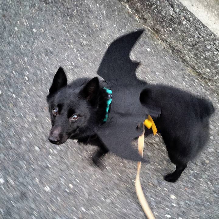 28d75b04 00d5 44e7 9e8f 2a5bf994bbd1 1698571467235